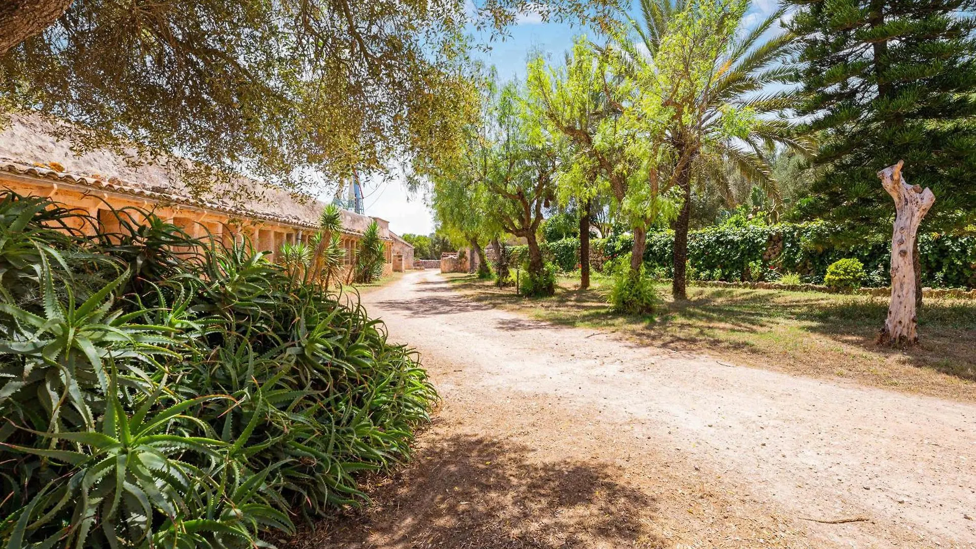 بيت للعطل فيلا Possessio Sa Barrala Casa Del Senor كامبوس